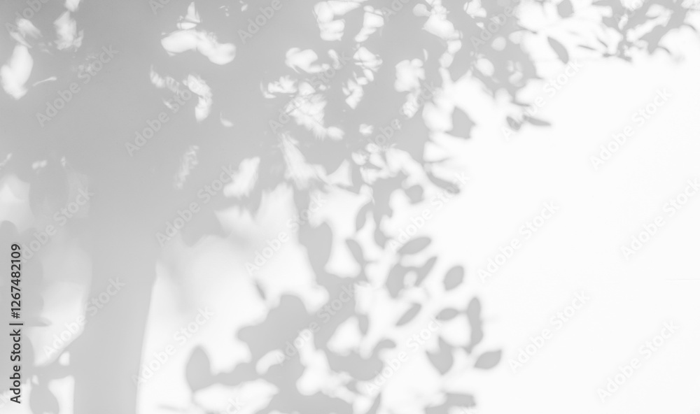 Poster tree shadow and light of leaf branch background. nature leaves tropical jungle tree branch dark shad
