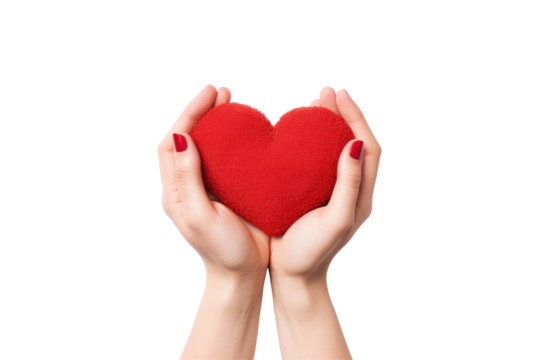 A red heart held gently in two hands on transparent background, symbolizing care and love
