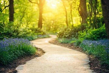 Serene Nature Pathway with Sunlight and Blooming Bluebells in a Lush Green Forest Setting