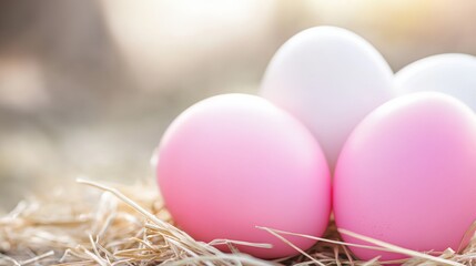 Fototapeta premium eggs are sitting in a pile of hay and straw on the ground