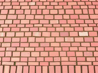 Obraz premium Brick Path Tapestry: Intricate Texture for Garden Designs