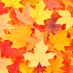 Obraz premium Autumnal Cascade of Maple Leaves in Red Yellow and Orange Hues for Seasonal Backgrounds