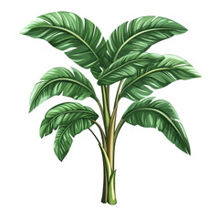 Lush Tropical Banana Tree Vibrant Green Leaves Tranquil Paradise