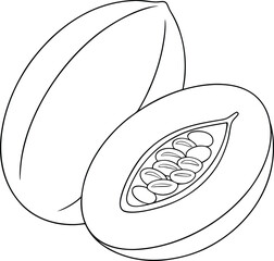 Cantaloupe Melon Half, Whole, Seeds, Summer, Fruit, Sweet, Outline, Drawing, Illustration, Clipart
