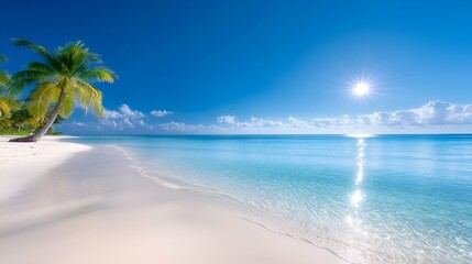 Turquoise waters lap the sandy shore of a tropical beach paradise dotted with palm trees under a sunny sky