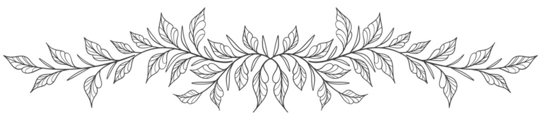 branch with leaves line art vector illustration