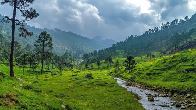 Lush Green Valley with Flowing Stream and Misty Mountain Views