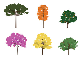 Vector set of colorful trees for architectural projects