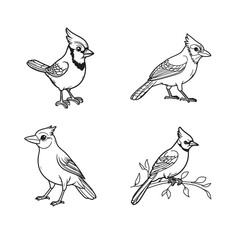 Obraz premium set of blue jay bird silhouette vector