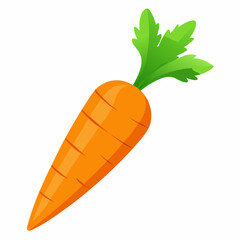 Lili flower line art vector on white back ground