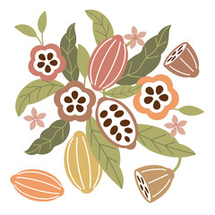 Cocoa bean illustration. Vintage style design template. chocolate cocoa beans. Vector illustration