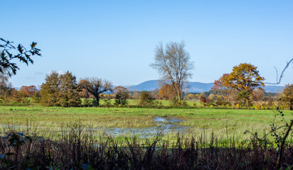 Fototapeta premium Paisaje otoñal con campo inundado con reflejos del cielo