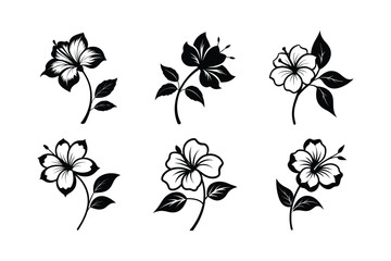 Hibiscus (Hibiscus spp.) silhouette vector illustration