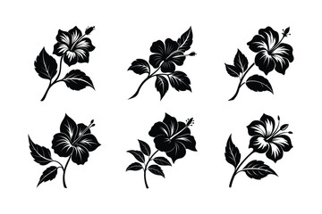Hibiscus (Hibiscus spp.) silhouette vector illustration