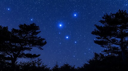 Fototapeta premium Night sky constellation over trees, forest backdrop, astronomy