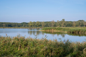 Europa, Deutschland, Mecklenburg-Vorpommern, Ostsee, Insel Usedom, Koserow, Landschaft am Achterwasser