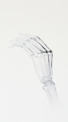 Transparent skeletal hand on white background