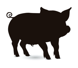 Little piggy character. Cartoon funny pink pig boy isolated on white and Black background illustration.