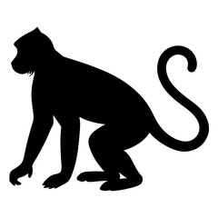 silhouette of a lion