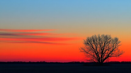 Obraz premium Solitary Tree Silhouetted Against Vibrant Sunset Sky