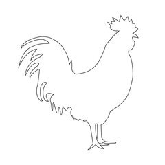 chicken. hen. rooster. black isolated white background
