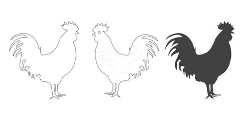 chicken. hen. rooster. black isolated white background
