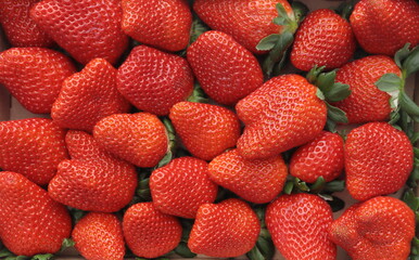 fruta temporada fresas rojas vitamina c 