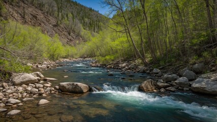 Fototapeta premium Spring Serenity at North Fork River Surrounded by Lush Forests and Majestic Mountains in a National Forest Landscape