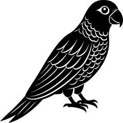 vector illustration of 