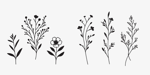 Wild Flower Graphics Vector silhouette illustration design black and white art 