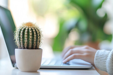focus on cactus in foreground, and behind it is blurred laptop where hands are typing on computer keyboard, device on windowsill, freelance internet influencer, girl engaged in online dating, looking 