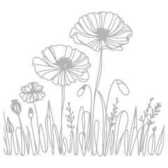 Poppy flowers in continuous line art drawing style Vector silhouette illustration design black and white art 
