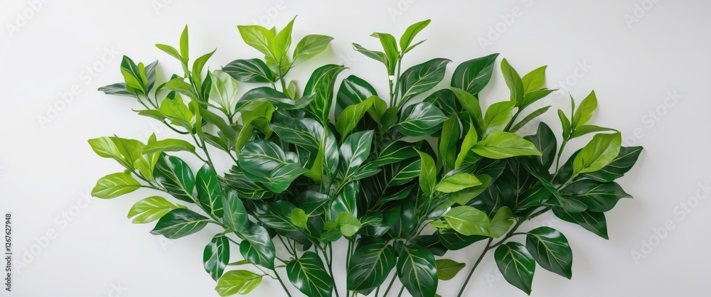Poster Artificial Green Plants Displaying Lush Vibrant Leaves Isolated on White Background with Space for Text or Design Elements