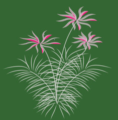 flower and green pattern