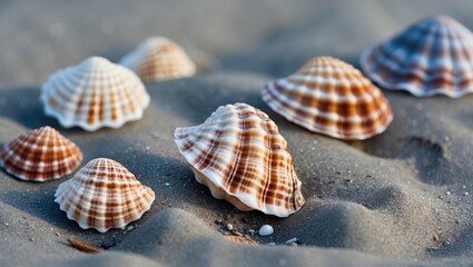 Seashells on Sandy Beach with Copy Space for Text Coastal Summer Background Nature Relaxation and Vacation Concept