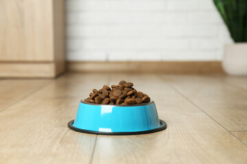 Dry pet food in feeding bowl on floor indoors