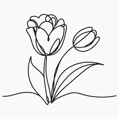 Tulip one line drawing. Abstract flower continuous line Vector silhouette illustration design black and white art 
