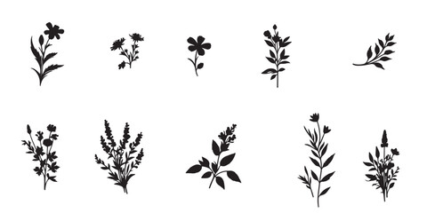Wild Flower Graphics Vector silhouette illustration design black and white art 