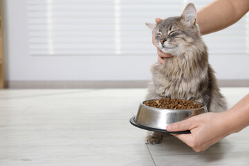 Woman giving feeding bowl with dry pet food to cute cat at home, closeup. Space for text © New Africa
