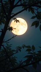 Fototapeta premium Silvery glow through leafy branches at full moon, silvery light, natural