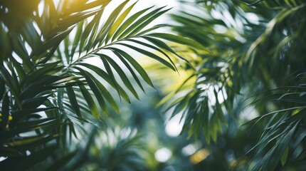 Obraz premium Tropical leaves abstract background with defocused greenery and sunlight creating a serene atmosphere for relaxation and nature-themed designs