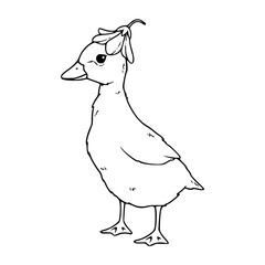 a black and white drawing of a cute cartoon duckling for coloring page