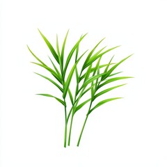 Lush green plant with vibrant leaves featuring rich textures displayed against a clean white background