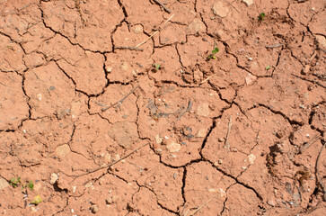 Cracked Dry Soil dried red mud top view