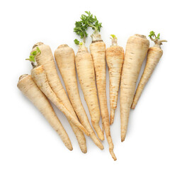 Many fresh parsley roots isolated on white, top view