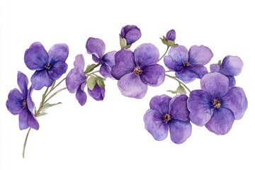 Violet blooms watercolor collection featuring purple mauve lilac lavender flowers and foliage for elegant wedding invitations greeting cards and print designs