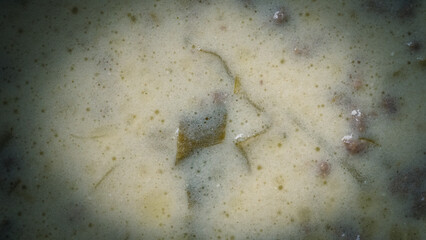 Rustikale Hackfleisch-Lauch-Suppe mit Kartoffelstücken in stimmungsvollem Licht