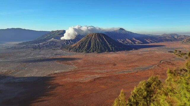 Aerial view fly through a tree to reveal Bromo volcano crater, Indonesia