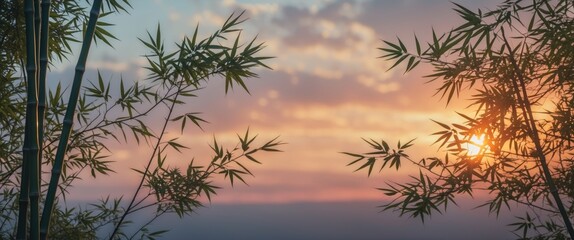 Bamboo Silhouettes Against a Colorful Sunset Sky With Ample Empty Space for Your Text and Designs