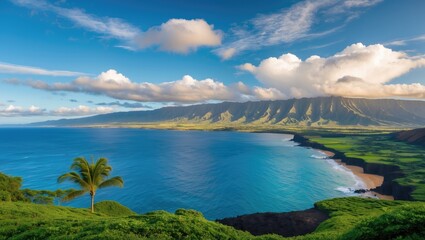 Stunning Kauai Landscape with Lush Greens and Dramatic Shoreline Under a Bright Blue Sky Perfect for Text Overlay